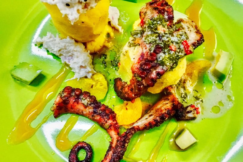 octopus and vegetables served on a green plate in peru