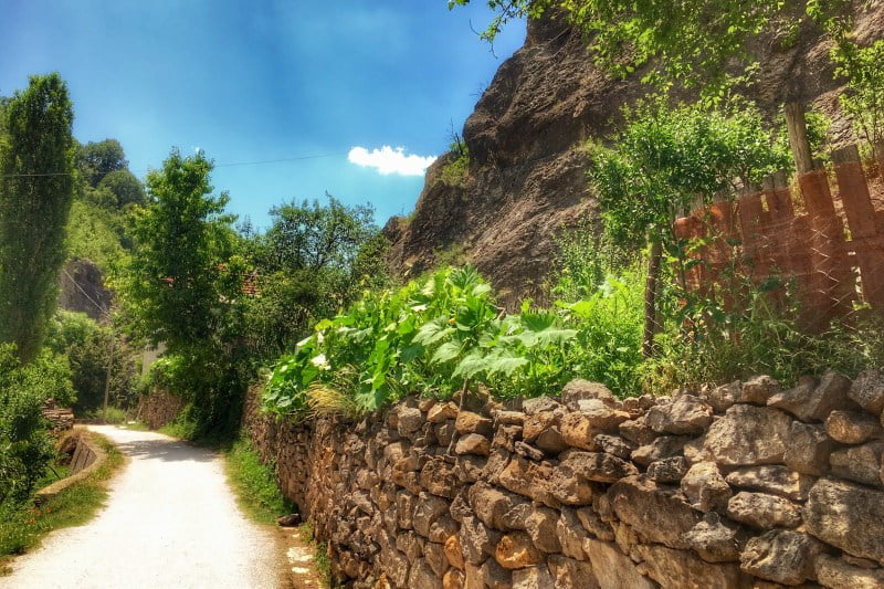 dirt road with vegetation either side and a rock wall in macedonia