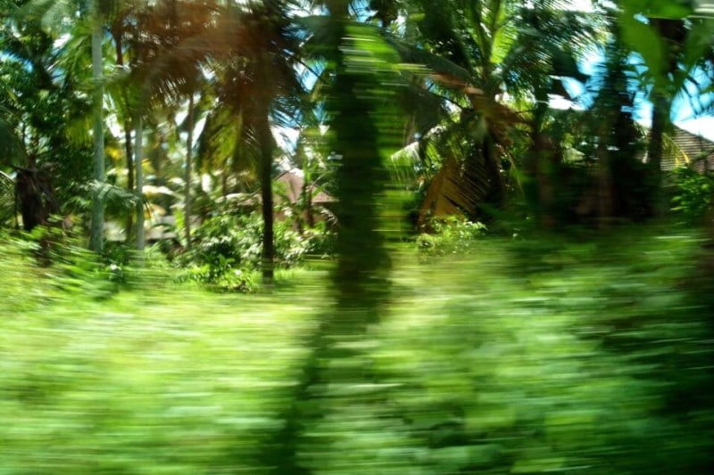 Blurred view of trees and vegetation while travelling