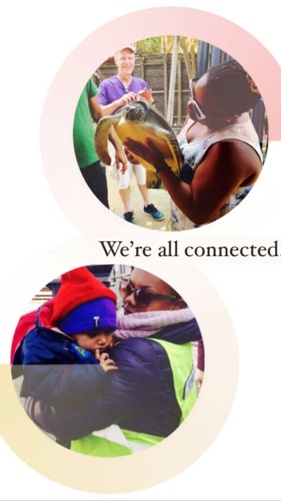We are all interconnected in life