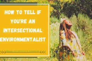 how to tell if you're an intersectional environmentalist pin with Meredith worshipping the sun in a field of grass and bushes