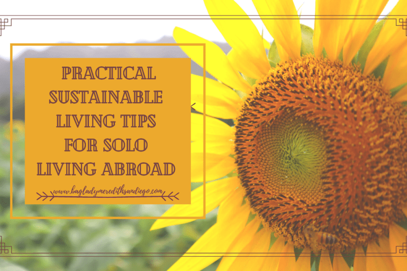 practical sustainable living tips for solo living abroad pin with a sunflower in the background