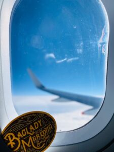 baglady meredith san diego logo in plane window