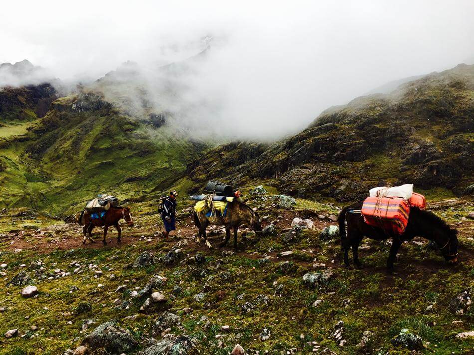 Thankful for the porters and donkeys carrying the majority of things along the way.
