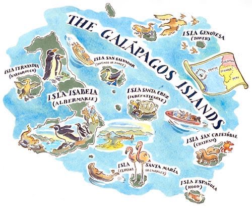 Galapagos, an island nation rich in sustainable travel methods.