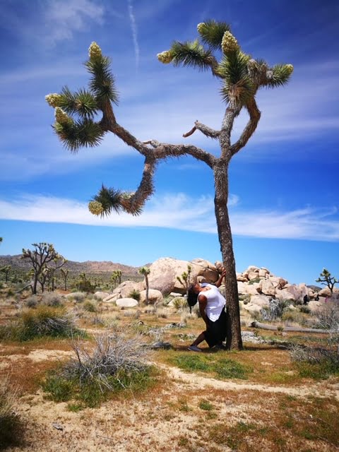 joshuatree.meredithandtree