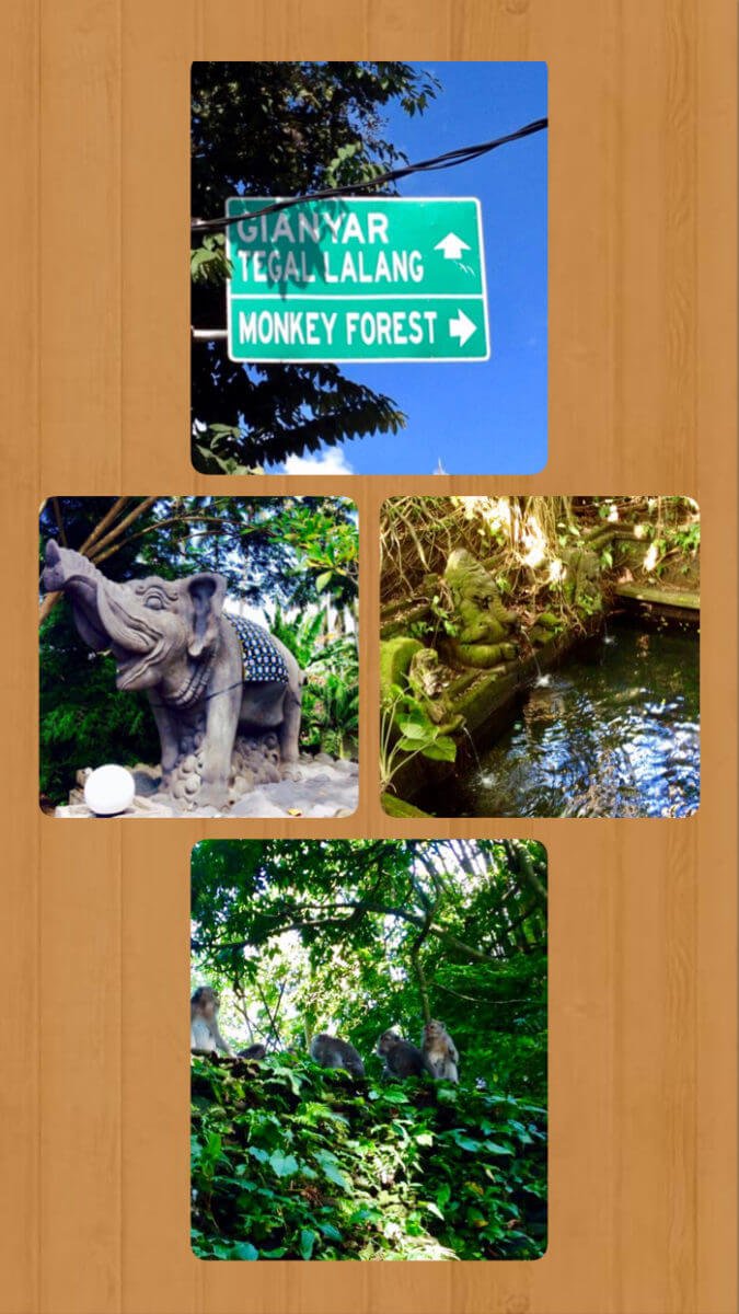 This way to the Monkey Forest in Ubud.